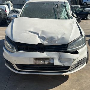 VW VOLKSWAGEN FOX 1.6 MSI (PKM199)