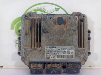 Modulo De Inyeccion Peugeot Partner 1.6 (02160821)