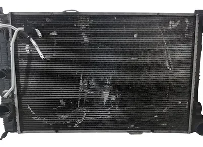 Radiador De Agua Mercedes Benz Glk 300 (03431941)