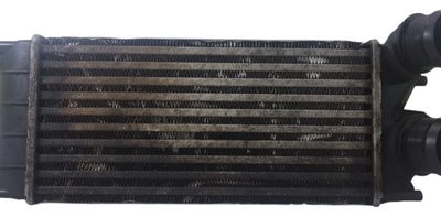 Intercooler Citroen C4 1.6 Hdi (04423153)
