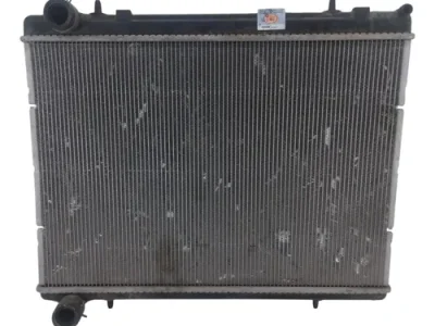Radiador De Agua Peugeot 308 1.6 (05995069)