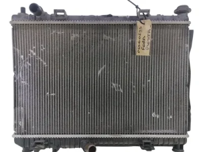 Radiador De Agua Ford Fiesta 1.6 (05560235)