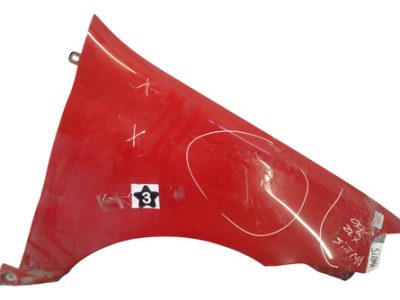 Guardabarro Derecho Fiat Palio F2 (07210662)