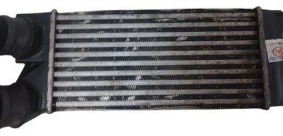 Intercooler Peugeot Partner 1.6 Hdi (04031151)