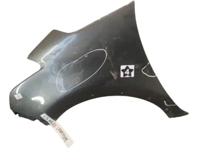 Guardabarro Izquierdo Citroen C3 Aircross (05819389)