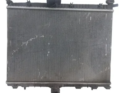 Radiador Peugeot 208 1.2 (05972533)