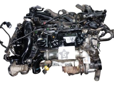 Motor Ford Ecosport 1.5 Tdci (05956356)