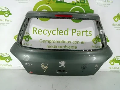 Porton Trasero Peugeot 307 (04141228)