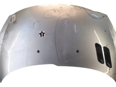 Capot Peugeot 207 (06501801)