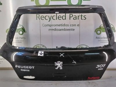 Porton Trasero Peugeot 307 (04236182)