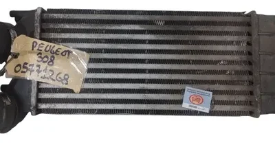 Intercooler Peugeot 408 1.6 Hdi (05771268)