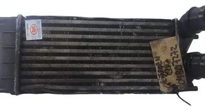Intercooler Citroen C4 Lounge 1.6 Hdi (04807272)