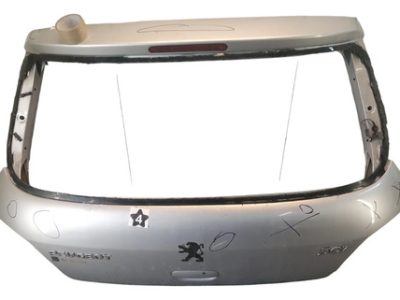 Porton Trasero Peugeot 307 (06060107) Lp