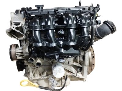Motor Ford Ecosport 1.6 16v S/v (06343709)
