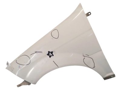 Guardabarro Izquierdo Fiat Palio F3 (05031215)