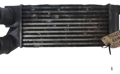 Intercooler Peugeot Expert 1.6 Hdi (05263706)
