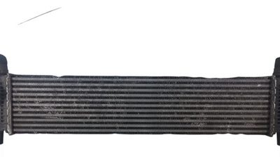 Intercooler Chevrolet S10 2.8 (05199458)
