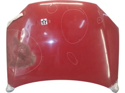 Capot Fiat Palio F3 (05757558)