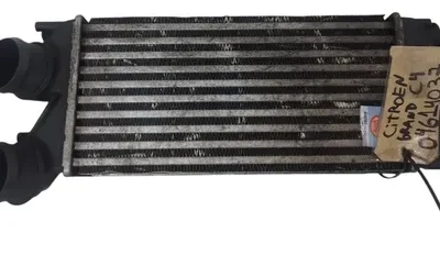 Intercooler Citroen C4 Picasso 1.6 Hdi (04614037)