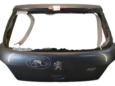 Porton Trasero Peugeot 307 (06020727)