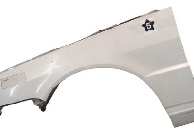 Guardabarro Izquierdo Fiat Fiorino Fire (05906681)