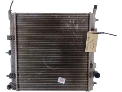 Radiador De Agua Citroen C3 1.6 (05674992)