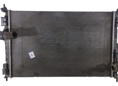 Radiador De Agua Peugeot 3008 1.6 Thp (05925862)