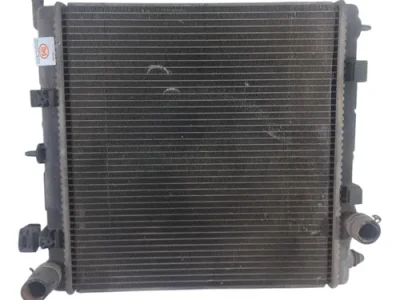 Radiador De Agua Citroen C3 1.6 16v (05445808)