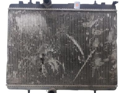 Radiador De Agua Peugeot Partner 1.6 Hdi (06153358)