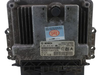 Modulo De Inyeccion Citroen Berlingo 1.4 (06028122)