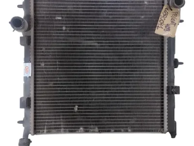 Radiador De Agua Peugeot 208 1.6 (06590041)
