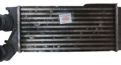 Intercooler Peugeot 308 1.6 Hdi (05527976)