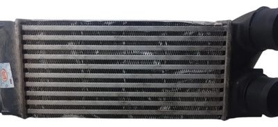 Intercooler Peugeot 308 1.6 Thp (06070789)