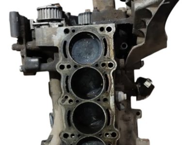 Motor Fiat Palio 1.4 8v (06986031) Solo Block
