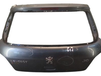 Porton Trasero Peugeot 307 (05382475) Lp