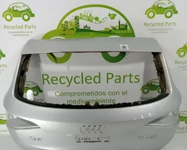 Porton Trasero Audi Q5 Lv (03001886) Lp