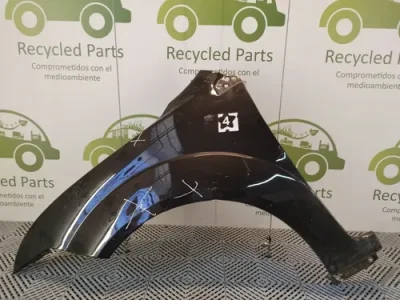 Guardabarro Izquierdo Ford Fiesta Mk6-2 (01685580) Lp