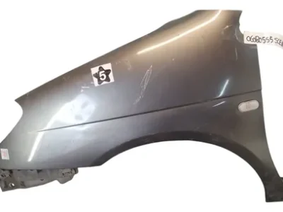 Guardabarro Izquierdo Renault Scenic F2 (06080555)