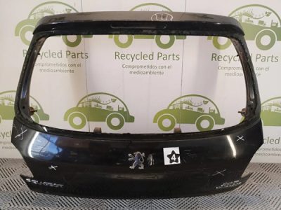 Porton Trasero Peugeot 207 (02537494) Lp