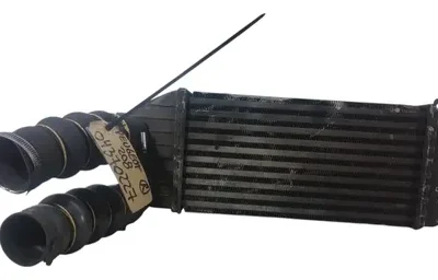 Intercooler Peugeot 208 1.6 Thp (04370227)