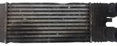 Intercooler Citroen Berlingo 1.6 Hdi (05333872)