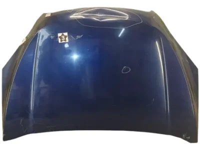 Capot Chevrolet Tracker Lv (06149240)