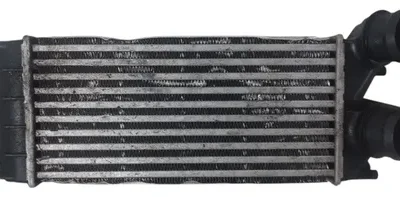 Intercooler Citroen C4 1.6 Hdi (06161035)