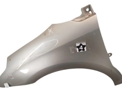 Guardabarro Izquierdo Citroen C4 (05896902)