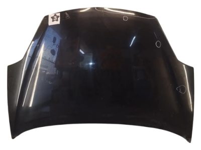 Capot Ford Ka Viral (06786953)
