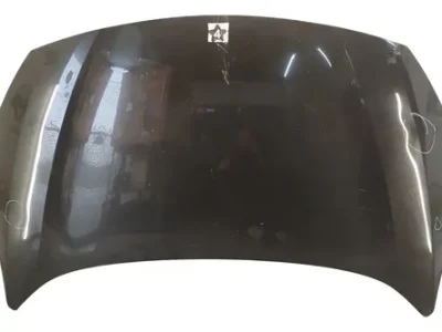 Capot Renault Fluence (05131513)