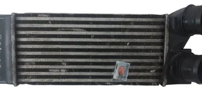 Intercooler Citroen Ds4 1.6 Thp (04364894)
