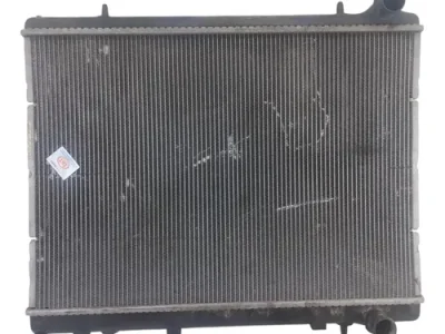 Radiador De Agua Citroen C4 Lounge 2.0 (06104012)