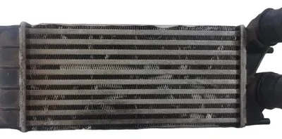 Intercooler Citroen C4 2.0 Hdi (05160764)
