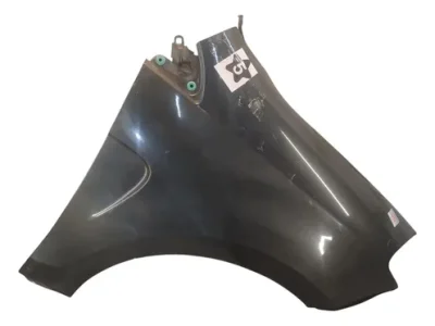 Guardabarro Derecho Fiat Palio Novo 326 (06955045) Lp